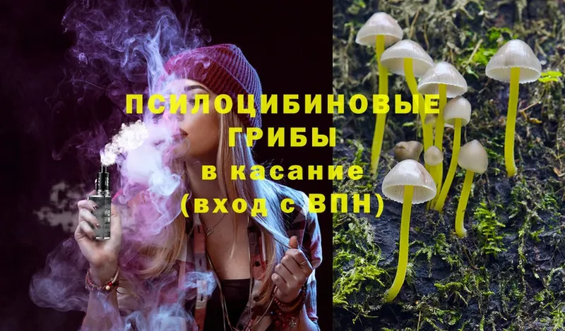 omg зеркало  Вольск  Псилоцибиновые грибы Magic Shrooms 